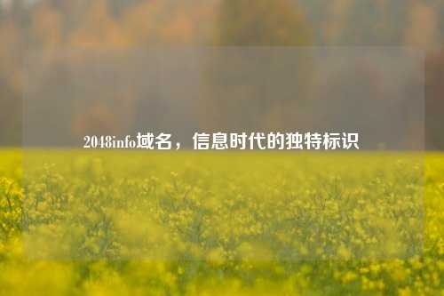 2048info域名，信息时代的独特标识