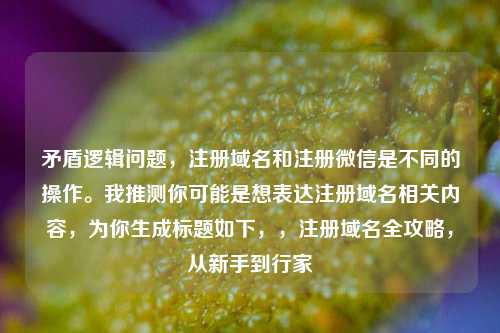 矛盾逻辑问题，注册域名和注册微信是不同的操作。我推测你可能是想表达注册域名相关内容，为你生成标题如下，，注册域名全攻略，从新手到行家