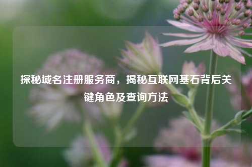 探秘域名注册服务商，揭秘互联网基石背后关键角色及查询     