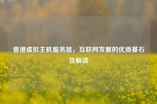 香港虚拟主机服务器，互联网发展的优质基石及解读