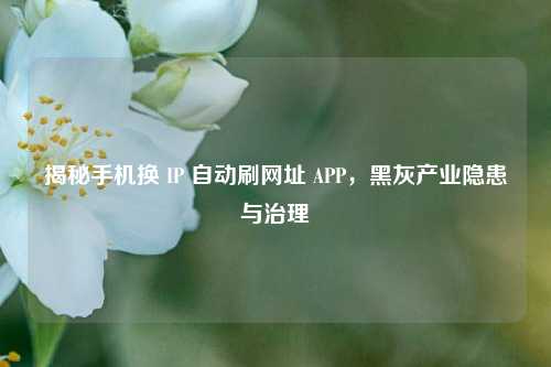 揭秘手机换 IP 自动刷网址 APP，黑灰产业隐患与治理