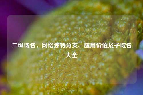 二级域名，     独特分支、应用价值及子域名大全