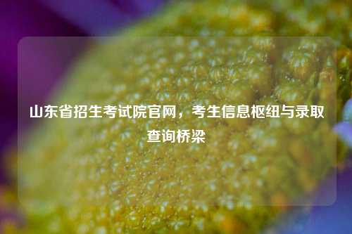 山东省招生考试院官网，考生信息枢纽与录取查询桥梁