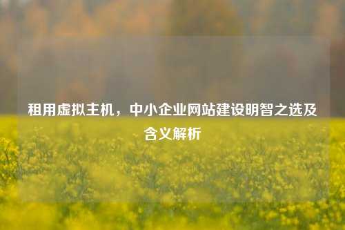 租用虚拟主机，中小企业网站建设明智之选及含义解析