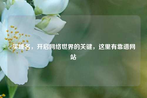买域名，开启     世界的关键，这里有靠谱网站
