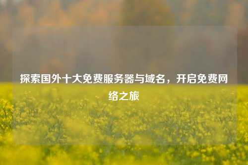 探索国外十大免费服务器与域名，开启免费     之旅