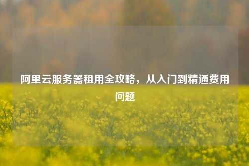 阿里云服务器租用全攻略，从入门到精通费用问题