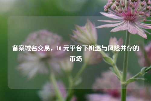 备案域名交易，10 元平台下机遇与风险并存的市场