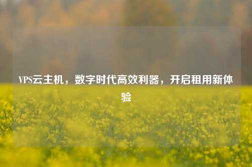 VPS云主机，数字时代高效利器，开启租用新体验