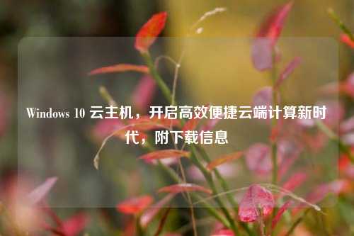 Windows 10 云主机，开启高效便捷云端计算新时代，附下载信息