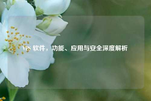 VPS 软件，功能、应用与安全深度解析