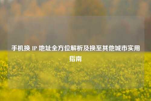 手机换 IP 地址全方位解析及换至其他城市实用指南