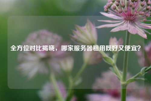 全方位对比揭晓，哪家服务器租用既好又便宜？