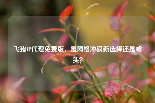 飞猪IP     免费版，是     冲浪新选择还是噱头？