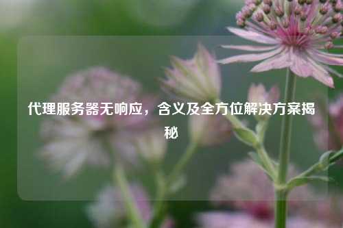      服务器无响应，含义及全方位解决方案揭秘