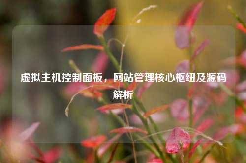 虚拟主机控制面板，网站管理核心枢纽及源码解析