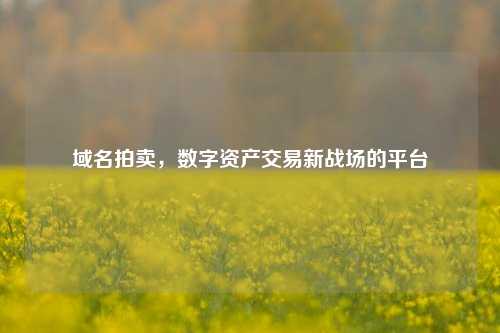 域名拍卖，数字资产交易新战场的平台