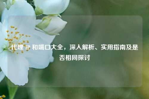       IP 和端口大全，深入解析、实用指南及是否相同探讨