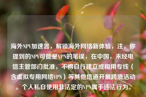 海外NPV加速器，解锁海外     新体验，注，你提到的NPV可能是VPN的笔误，在中国，未经电信主管部门批准，不得自行建立或租用专线（含虚拟专用     VPN）等其他信道开展跨境活动。个人私自使用非法定的VPN属于违法行为。
