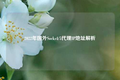 2022年国外Socks4/5     IP地址解析