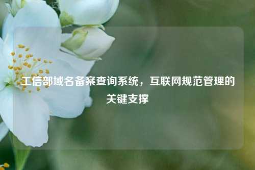工信部域名备案查询系统，互联网规范管理的关键支撑