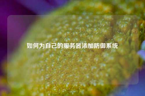 如何为自己的服务器添加防御系统