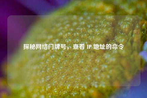 探秘     门牌号，查看 IP 地址的命令