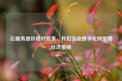 云服务器价格对照表，开启企业数字化转型的经济密钥