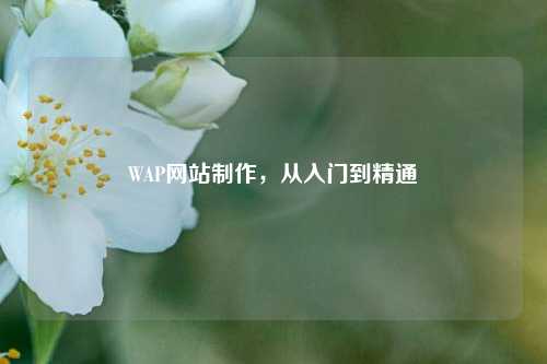 WAP网站     ，从入门到精通