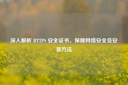 深入解析 HTTPS 安全证书，保障     安全及安装     