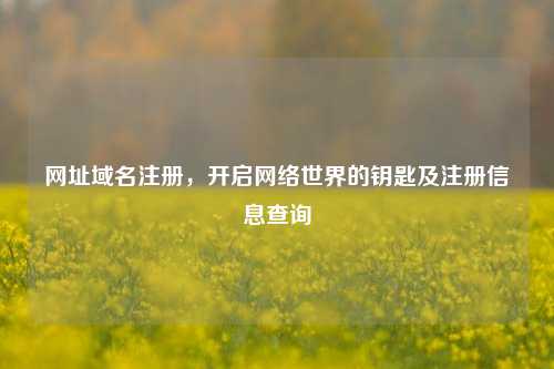 网址域名注册，开启     世界的钥匙及注册信息查询