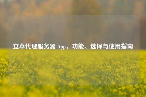 安卓     服务器 App，功能、选择与使用指南