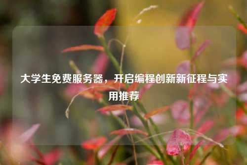 大学生免费服务器，开启编程创新新征程与实用推荐