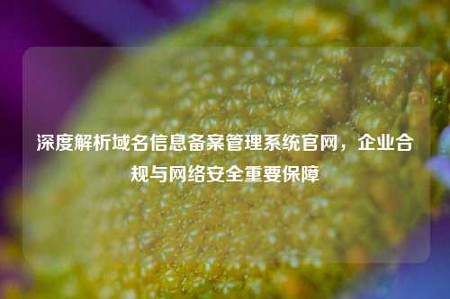 深度解析域名信息备案管理系统官网，企业合规与     安全重要保障
