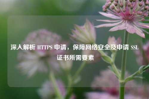 深入解析 HTTPS 申请，保障     安全及申请 SSL 证书所需要素