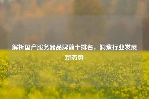 解析国产服务器品牌前十排名，洞察行业发展新态势