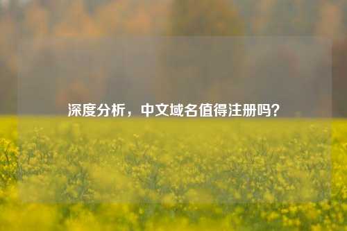 深度分析，中文域名值得注册吗？