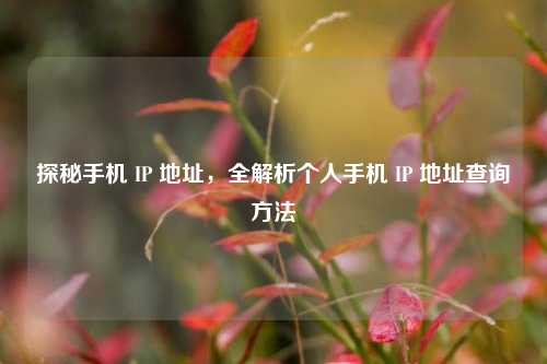 探秘手机 IP 地址，全解析个人手机 IP 地址查询     