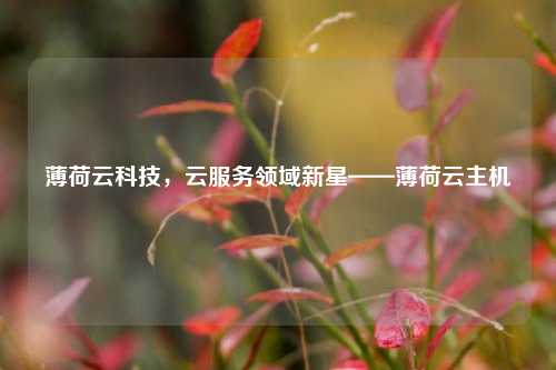 薄荷云科技，云服务领域新星——薄荷云主机