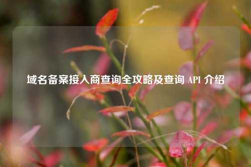 域名备案接入商查询全攻略及查询 API 介绍