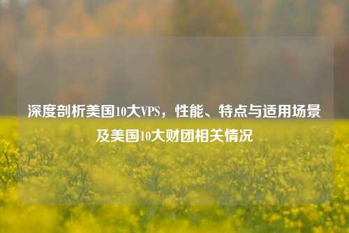 深度剖析美国10大VPS，性能、特点与适用场景及美国10大财团相关情况