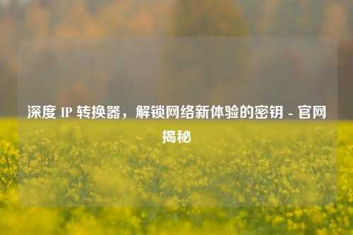 深度 IP 转换器，解锁     新体验的密钥 - 官网揭秘
