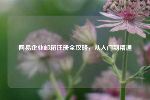 网易企业邮箱注册全攻略，从入门到精通
