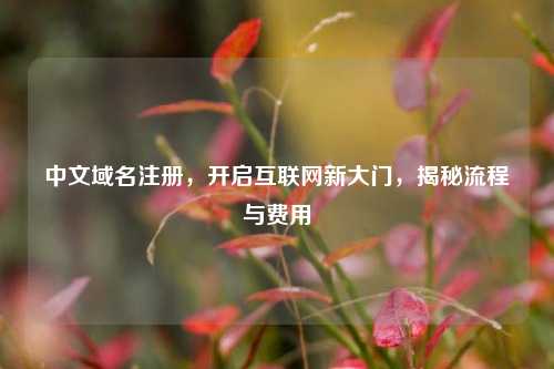 中文域名注册，开启互联网新大门，揭秘流程与费用