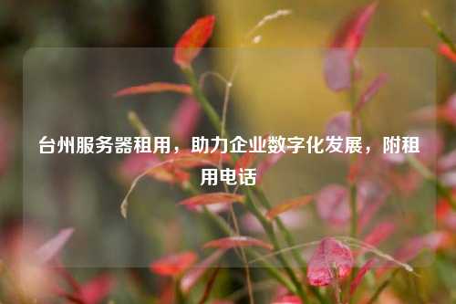 台州服务器租用，助力企业数字化发展，附租用     