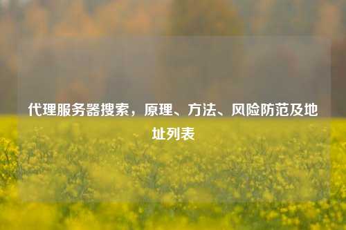      服务器搜索，原理、     、风险防范及地址列表