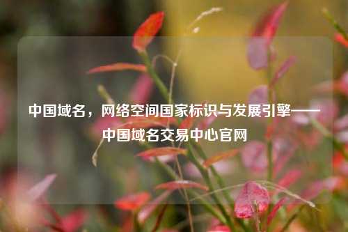 中国域名，     空间国家标识与发展引擎——中国域名交易中心官网