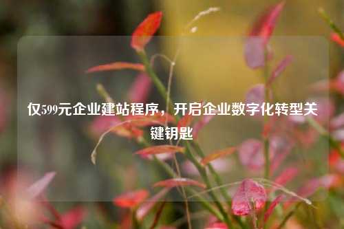 仅599元企业建站程序，开启企业数字化转型关键钥匙