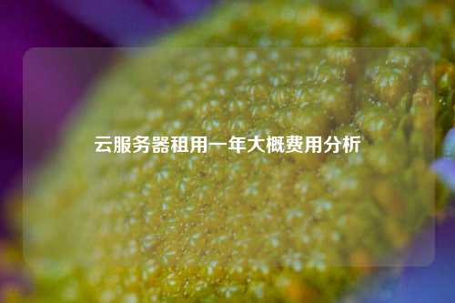 云服务器租用一年大概费用分析