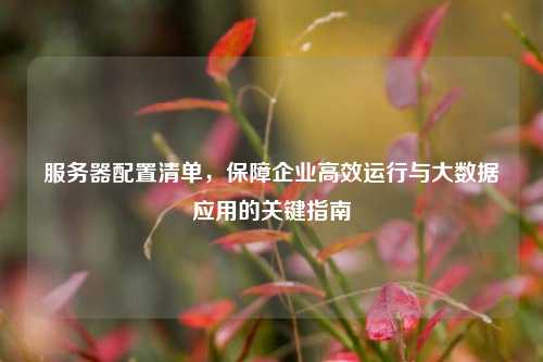 服务器配置清单，保障企业高效运行与大数据应用的关键指南